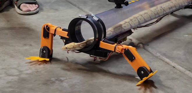 Відеоблогер створив роботизований екзоскелет для змії. Тепер вона може ходити – відео - Фото