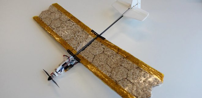 Ученые создали съедобный дрон, который поможет во время спасательных миссий - Фото
