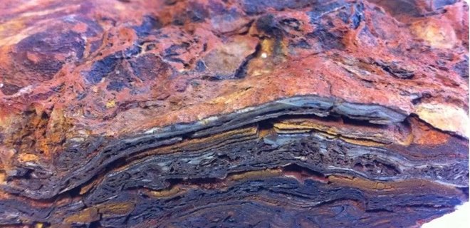 В Австралии нашли древнейшие признаки жизни – это окаменелости, которым 3,5 млрд лет - Фото
