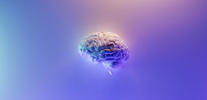 Компании Илона Маска Neuralink запретили проводить испытания мозгового чипа на людях - Фото