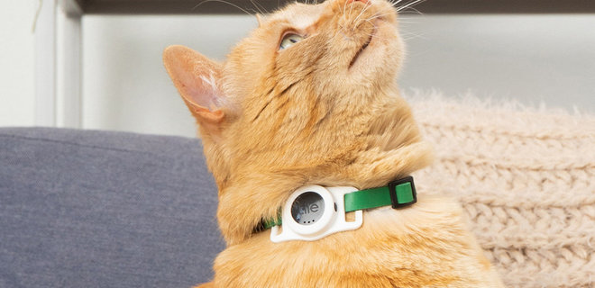 Компания Tile выпустила трекер, который поможет следить за вашим котом - Фото