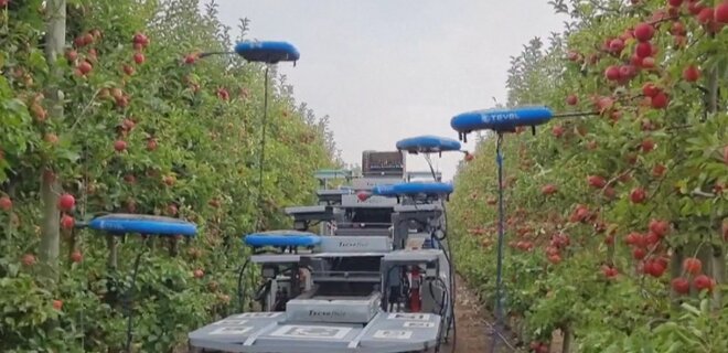 В Израиле на ферме яблоки собирает робот – видео - Фото