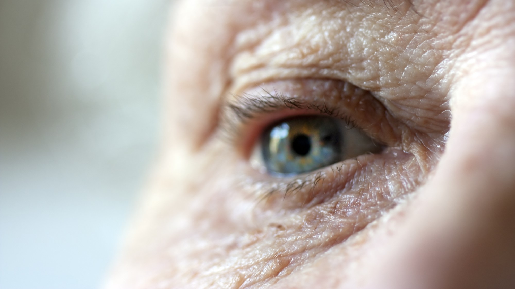 ИИ помогает предупредить старение. Как эта технология влияет на индустрию красоты - Фото