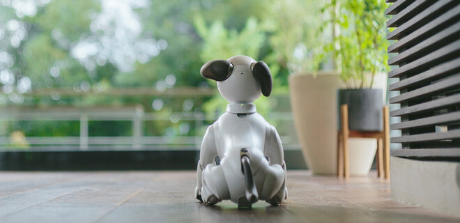 Sony ищет новые семьи для устаревших роботов-собак Aibo - Фото